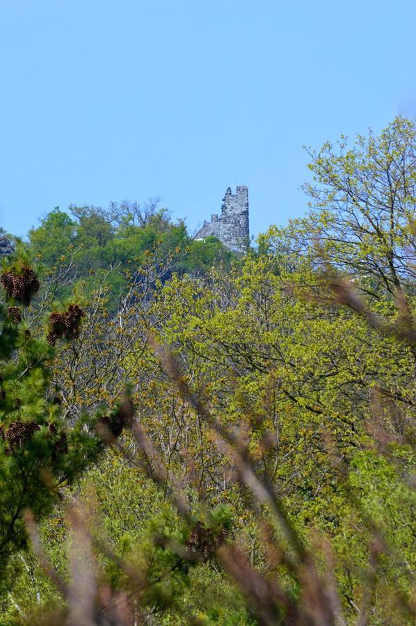 Hotel Weinhaus Hoff Bad Honnef Kültér fotó